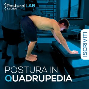 postura quadrupedia permette — La postura in quadrupedia permette uno stiramento totale della catena posteriore,in seguito ad una